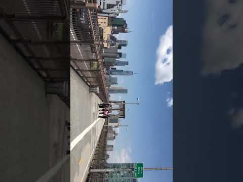 같이 걸어요! 뉴욕 브루클린 브릿지 | July 18