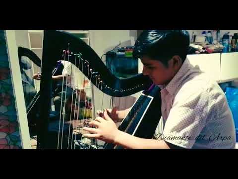 Diamante  del Arpa  //  Alicia  Mujer Bonita  //  D.R