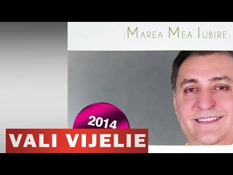 VALI VIJELIE - VAGABOANTA MAI E VIATA (HIT NOU 2014)