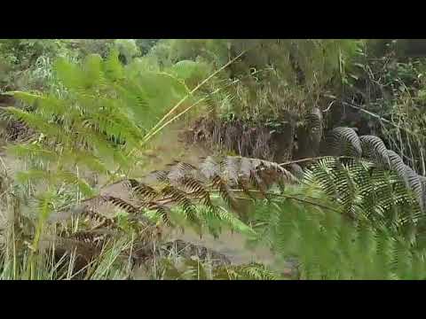 Derrumbe la Peña Cundinamarca 