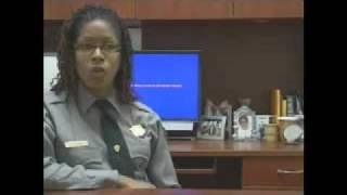 African Burial Ground Documentary