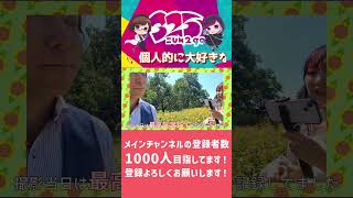 【点描の唄】メイキング撮影してみた #shorts #歌ってみた #新人歌い手グループ