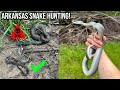 Highlights from a 100+ Snake Weekend in Arkansas! Lots of Cottonmouths and More in the Swamp!