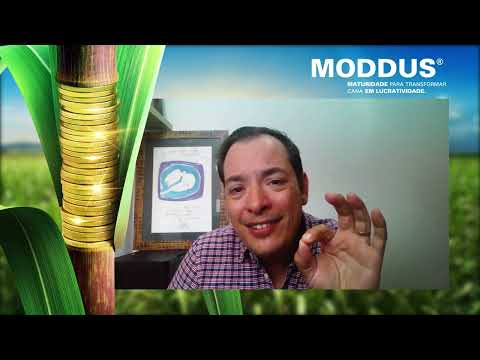 Moddus® Maturidade para transformar cana em lucratividade