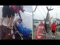 Fisherwoman catches world record 411.6kg TUNA ...