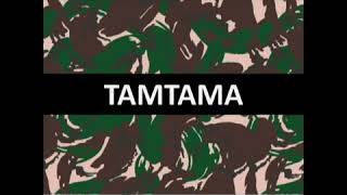 Download lagu rekrutmen TNI AD 2018 AKMIL 2018  BINTARA 2018  TAMTAMA GELOMBANG 1   2 TA 2018 mp3