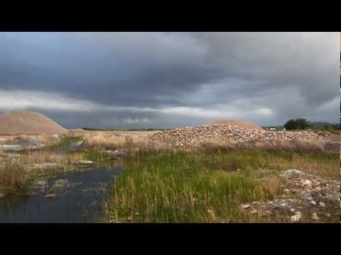 1-year time lapse of season changes at a wetland