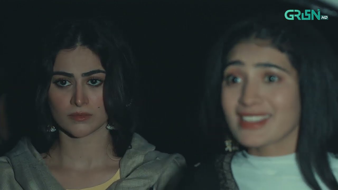 Ghulam Bashah Sundri Ep 01 | Best Scene 03 | Hina Afridi - Imran Ashraf & Zaviyar Ijaz | Green TV