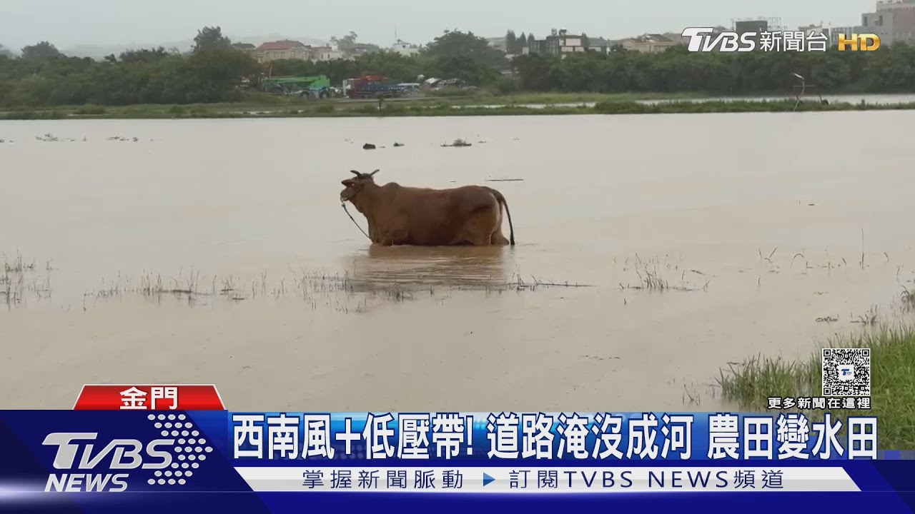 金門一夜暴雨成災！8hrs狂下141毫米　創今年單日最高紀錄