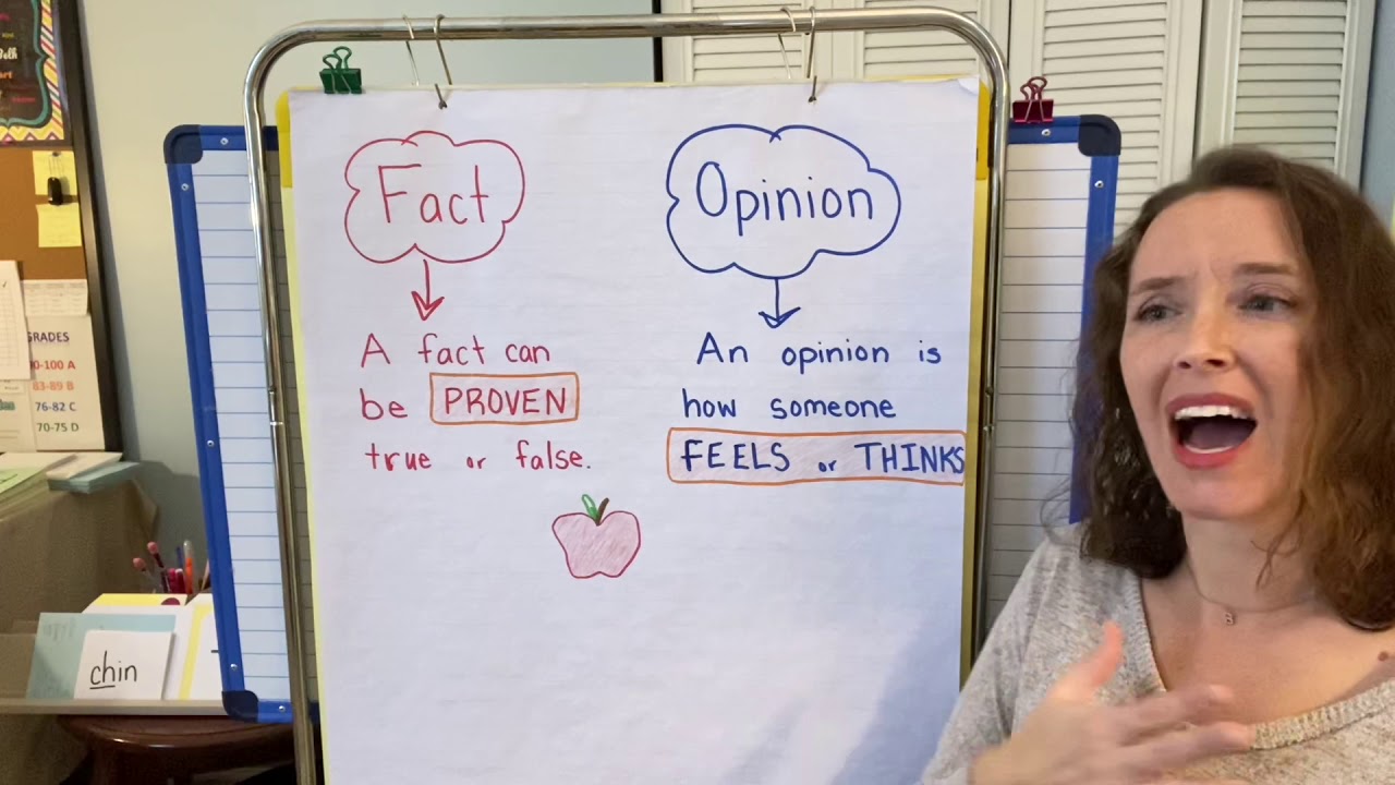 Fact and Opinion Anchor Chart
