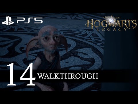Hogwarts Legacy Walkthrough Part 14 (No Commentary/Full Game) PS5