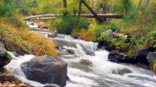 Los Nocheros-La Atardecida