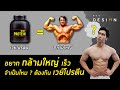 อยากกล้ามใหญ่เร็วๆ จำเป็นไหมต้องกินเวยโปรตีน ?