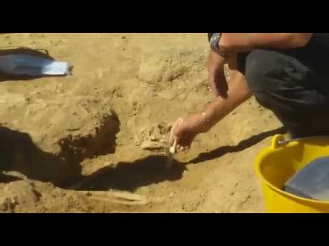 Darsonval osteocondrosi lombare Mal di schiena con forza in quello che potrebbe essere il problema