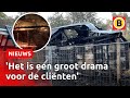 Tranen om afgebrande manege Amarant | Omroep Brabant
