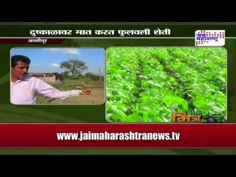 download lagu mp3 mp4 Soybean Production In Maharashtra, download lagu Soybean Production In Maharashtra gratis, unduh video klip Soybean Production In Maharashtra
