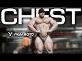 Chest, posing update & my Yamamoto supplements of choice