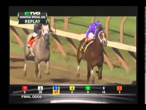 Saratoga - 16/08/2013 - Saratoga Special Stakes G2  - 1300m - Corfu e Wired Bryan