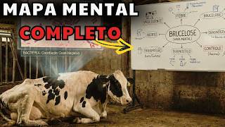 Brucelose - Mapa mental para Concurso
