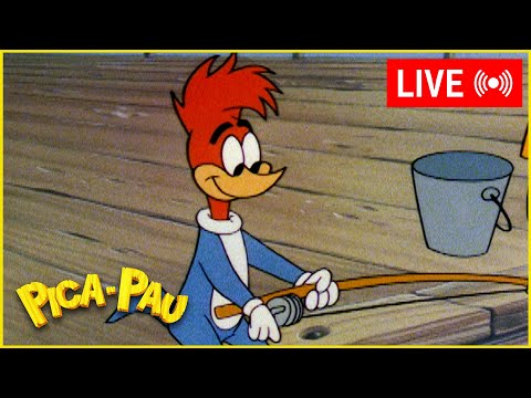 Pica-Pau é o Melhor Pescador!