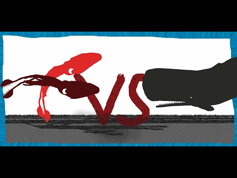 Pivot Battle Arena: Sperm whale VS Two Colossal Squids