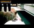 Winn Dixie Bande Annonce FRANÇAISE Because Of Winn Dixie