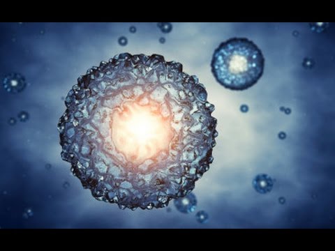 Can We Create Brand New Life In The Lab?