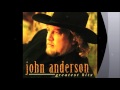 Takin the country back- John Anderson