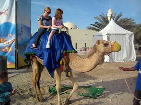 Camel Ride Khalifa Park Abu Dhabi Feb 2010a 107.avi
