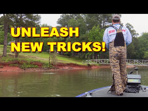 Spring Wacky Rig Bass Fishing (Catch 10x MORE Bass!) | Bass Fishing