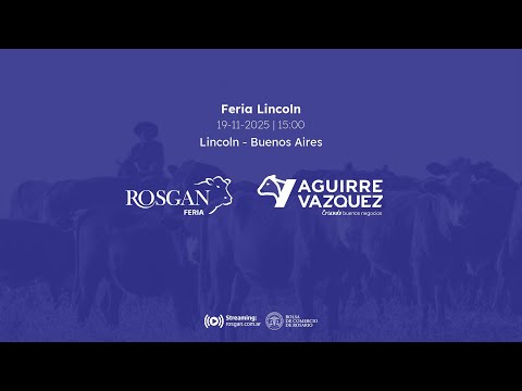 Feria Lincoln | Lincoln - Buenos Aires