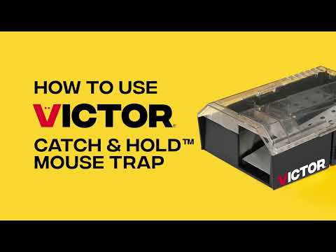 How to Use the Victor Catch & Hold Mouse Trap | M335