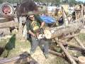 Dave The Chain Saw Nut Stihl Homelite Poulan