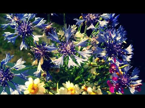 Józef Rusinowski   Modlitwa o sens