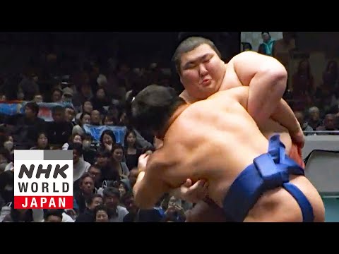 GRAND SUMO: Day 11 of the January 2026 Tournament - GRAND SUMO Highlights