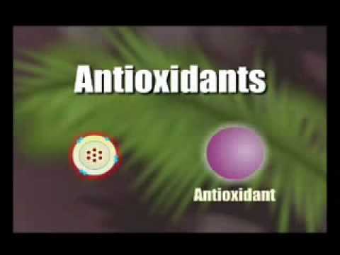 How Antioxidants work 1.flv