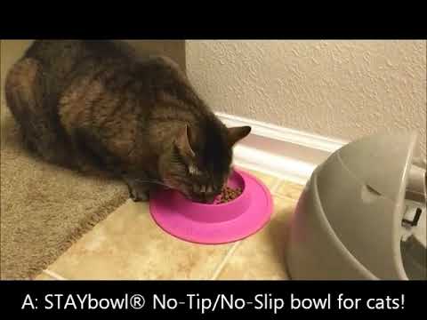 Does your cat like to dump its food bowl?