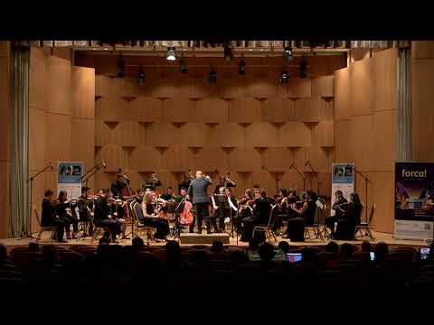 Dag Ivan Wiren - Serenade for String Orchestra Op. 11, Western Balkans Youth Orchestra