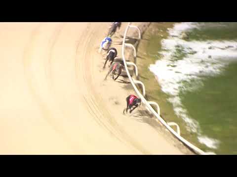 2018 ASTUTE ELECTRONICS GOLD CUP - HEAT 3 - T1 KING ELVIS