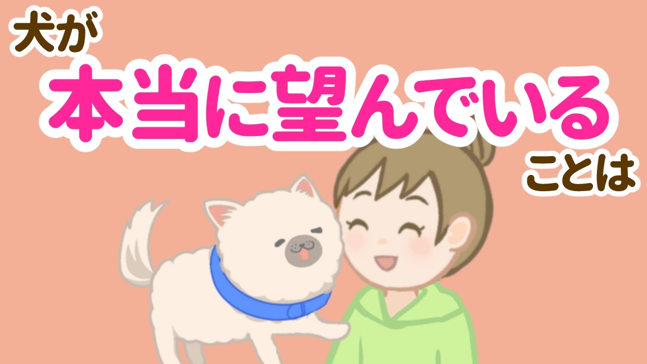 【後悔する前に】愛犬が本当に望んでいる7つのこと