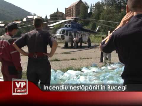 INCENDIU DE NESTAPANIT IN BUCEGI