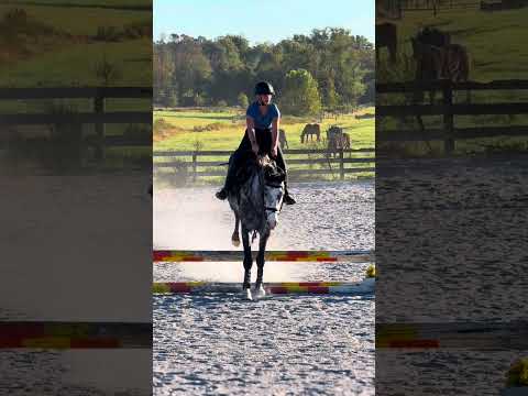 I miss the short sleeves... now it's under 20F