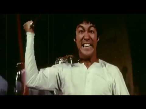 Maniac Bruce lee Fan Made