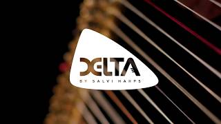 Video thumbnail for Delta Harp - explained - effects, positions and amplification by Joris Beets