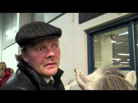 WorldTölt 2013 - viðtal við Daníel Jónsson