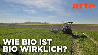 Die Bio-Revolution - Die Karriere der ökologischen Landwirtschaft | Doku HD Reup