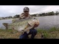 TOP 3 HUGE LARGEMOUTH BASS CAUGHT ON CAMERA Compilation