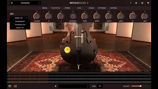 Video thumbnail for MODO BASS 2  - New fretless & upright basses by ikmultimedia