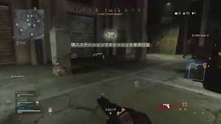 Call of Duty:Warzone PLUNDERモード　妹とフレンドと一位目指す！！