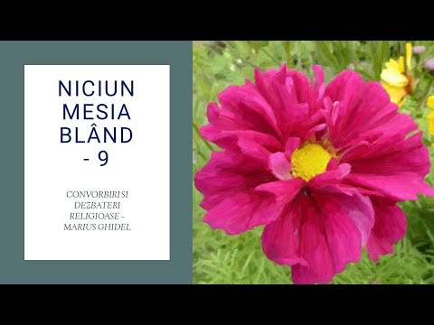 NICIUN MESIA BLÂND - 9